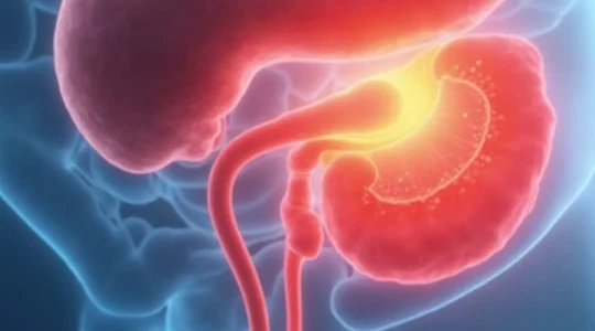 Cancer de la prostate